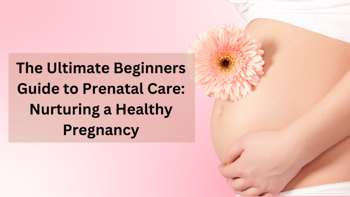 The Ultimate Beginners Guide to Prenatal Care Nurturing a Healthy Pregnancy