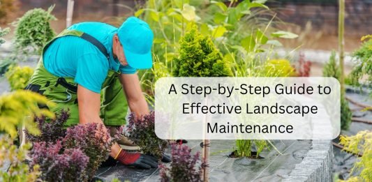 A Step by Step Guide to Effective Landscape Maintenance