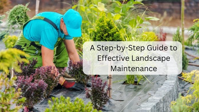 A Step by Step Guide to Effective Landscape Maintenance