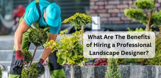 What Are The Benefits of Hiring a Professional Landscape Designer