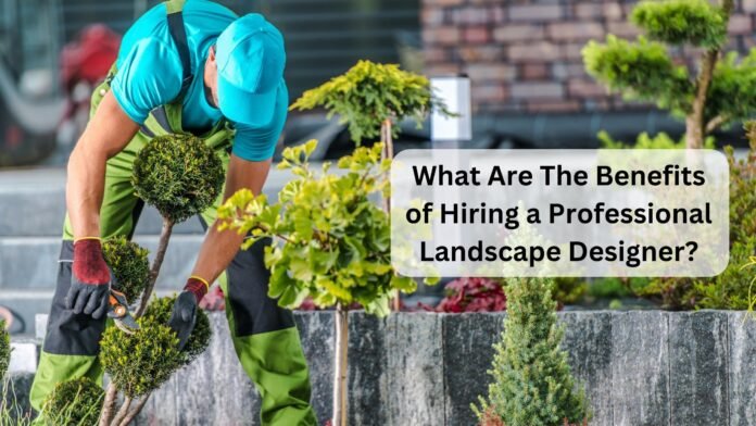 What Are The Benefits of Hiring a Professional Landscape Designer