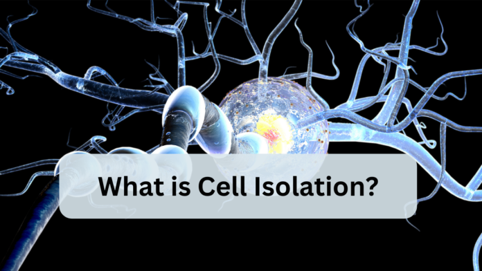 What is Cell ISolation