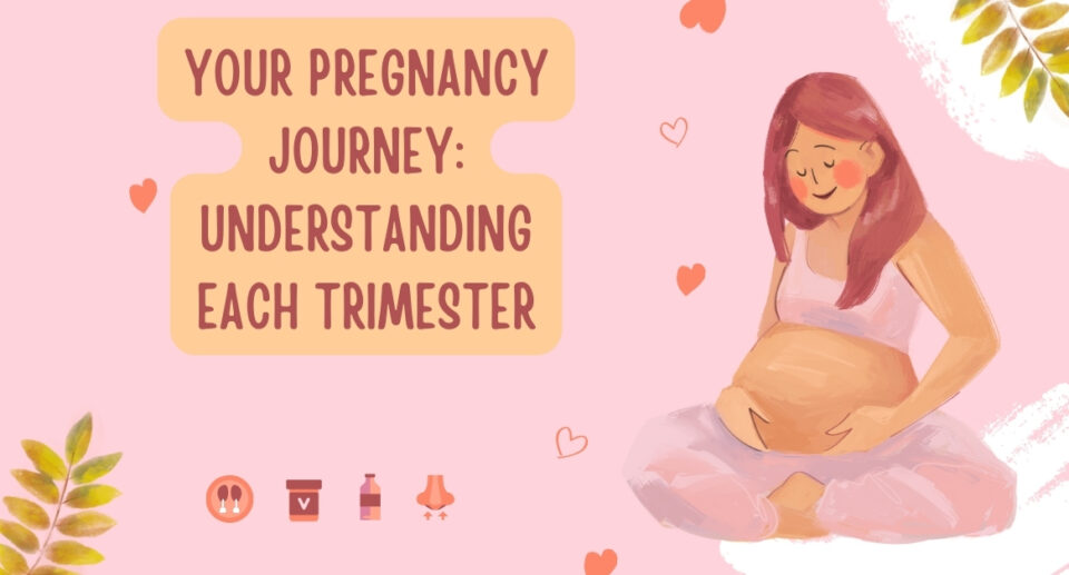 your pregnancy journey: understanding each trimester