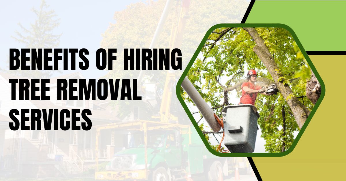 Benefits of Hiring Tree Removal Services